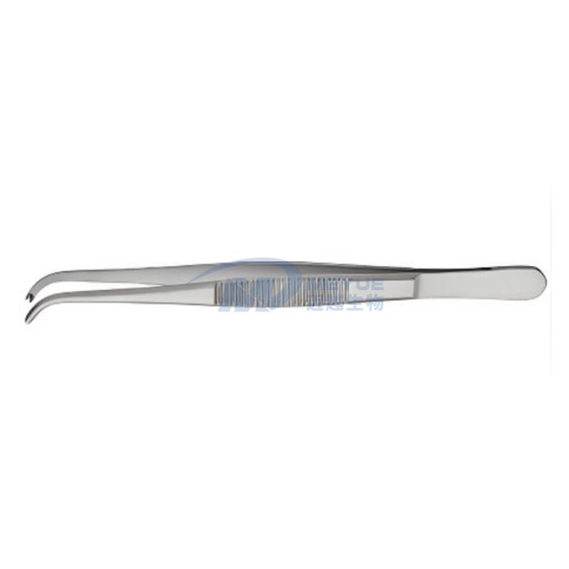 M6043 Anatomy forceps 1 * 2 teeth